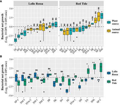 Intraspecies competition among Salmonella enterica isolates in the lettuce leaf apoplast